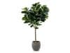 + 15 % Kassenrabatt | Designplants/Luca Lifestyle Lyrata Y Kunstbaum (h:220 cm) mit Grigio Balloon Blumentopf