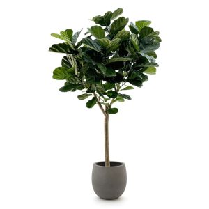 Designplants/Luca Lifestyle Lyrata Y Kunstbaum (h:220 cm) mit Grigio Balloon Blumentopf