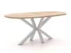 + 10 % Kassenrabatt | ROUGH-Y Ellips Bartisch 240x120 cm