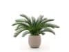 + 10 % Kassenrabatt | Designplants/Luca Lifestyle Cycas Palme Kunstpflanze (h:60 cm) mit Terreno Tall Balloon Blumentopf