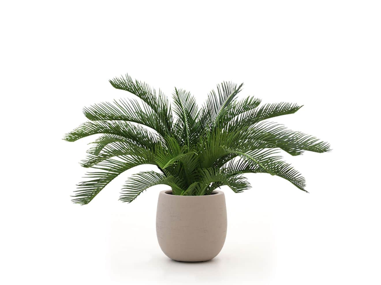 + 15 % Kassenrabatt | Designplants/Luca Lifestyle Cycas Palme Kunstpflanze (h:60 cm) mit Terreno Tall Balloon Blumentopf
