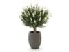 + 10 % Kassenrabatt | Designplants/Luca Lifestyle Lavendel Kugel Kunstpflanze (h:60 cm) mit Bordo Tall Balloon Blumentopf