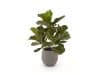 + 10 % Kassenrabatt | Designplants/Luca Lifestyle Lyrata Kunstpflanze (h:45 cm) mit Bordo Balloon Blumentopf