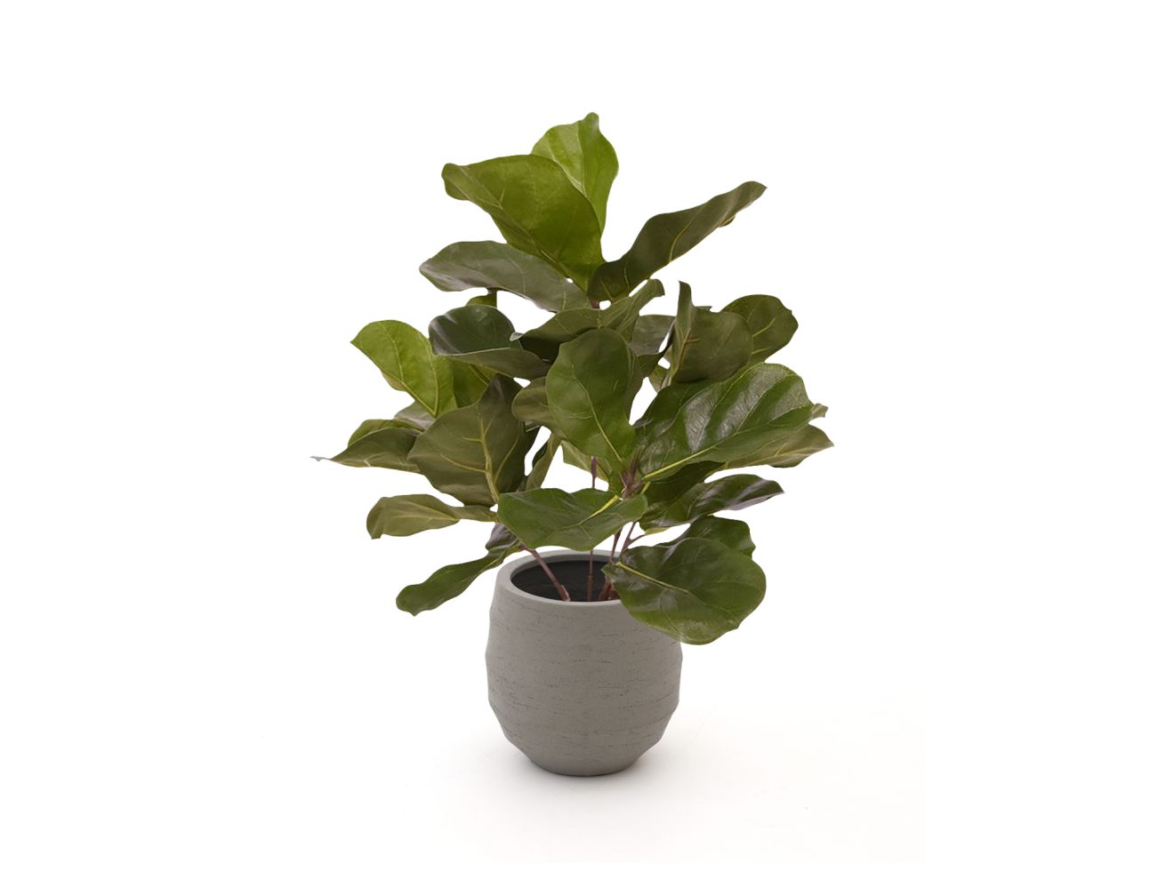 + 15 % Kassenrabatt | Designplants/Luca Lifestyle Lyrata Kunstpflanze (h:45 cm) mit Bordo Balloon Blumentopf
