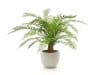 + 10 % Kassenrabatt | Designplants/Luca Lifestyle Alsophillia Farn Kunstpflanze (h:80 cm) mit Grigio New Egg Blumentopf