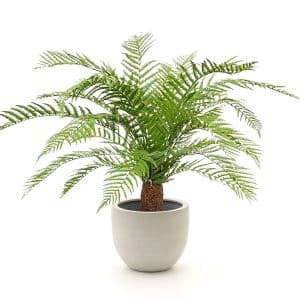 + 10 % Kassenrabatt | Designplants/Luca Lifestyle Alsophillia Farn Kunstpflanze (h:80 cm) mit Grigio New Egg Blumentopf
