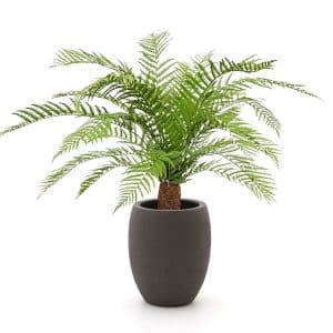 + 10 % Kassenrabatt | Designplants/Luca Lifestyle Alsophillia Farn Kunstpflanze (h:80 cm) mit Terreno Tall Balloon Blumentopf