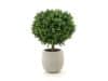 + 10 % Kassenrabatt | Designplants/Luca Lifestyle Buchsbaum Kugel Kunstpflanze (h:50 cm) mit Grigio Balloon Blumentopf