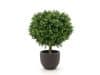 + 10 % Kassenrabatt | Designplants/Luca Lifestyle Buchsbaum Kugel Kunstpflanze (h:50 cm) mit Terreno New Egg Blumentopf