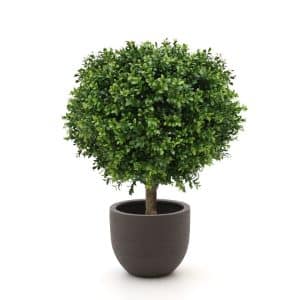 + 10 % Kassenrabatt | Designplants/Luca Lifestyle Buchsbaum Kugel Kunstpflanze (h:50 cm) mit Terreno New Egg Blumentopf