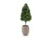 + 10 % Kassenrabatt | Designplants/Luca Lifestyle Buchsbaum Tower Kunstpflanze (h:110 cm) mit Bordo Tall Balloon Blumentopf