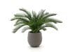+ 10 % Kassenrabatt | Designplants/Luca Lifestyle Cycas Palme Kunstpflanze (h:60 cm) mit Bordo Balloon Blumentopf