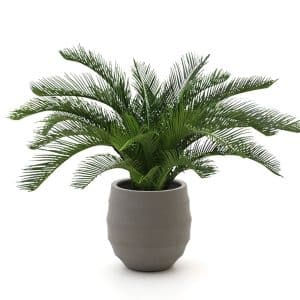 + 10 % Kassenrabatt | Designplants/Luca Lifestyle Cycas Palme Kunstpflanze (h:60 cm) mit Bordo Balloon Blumentopf