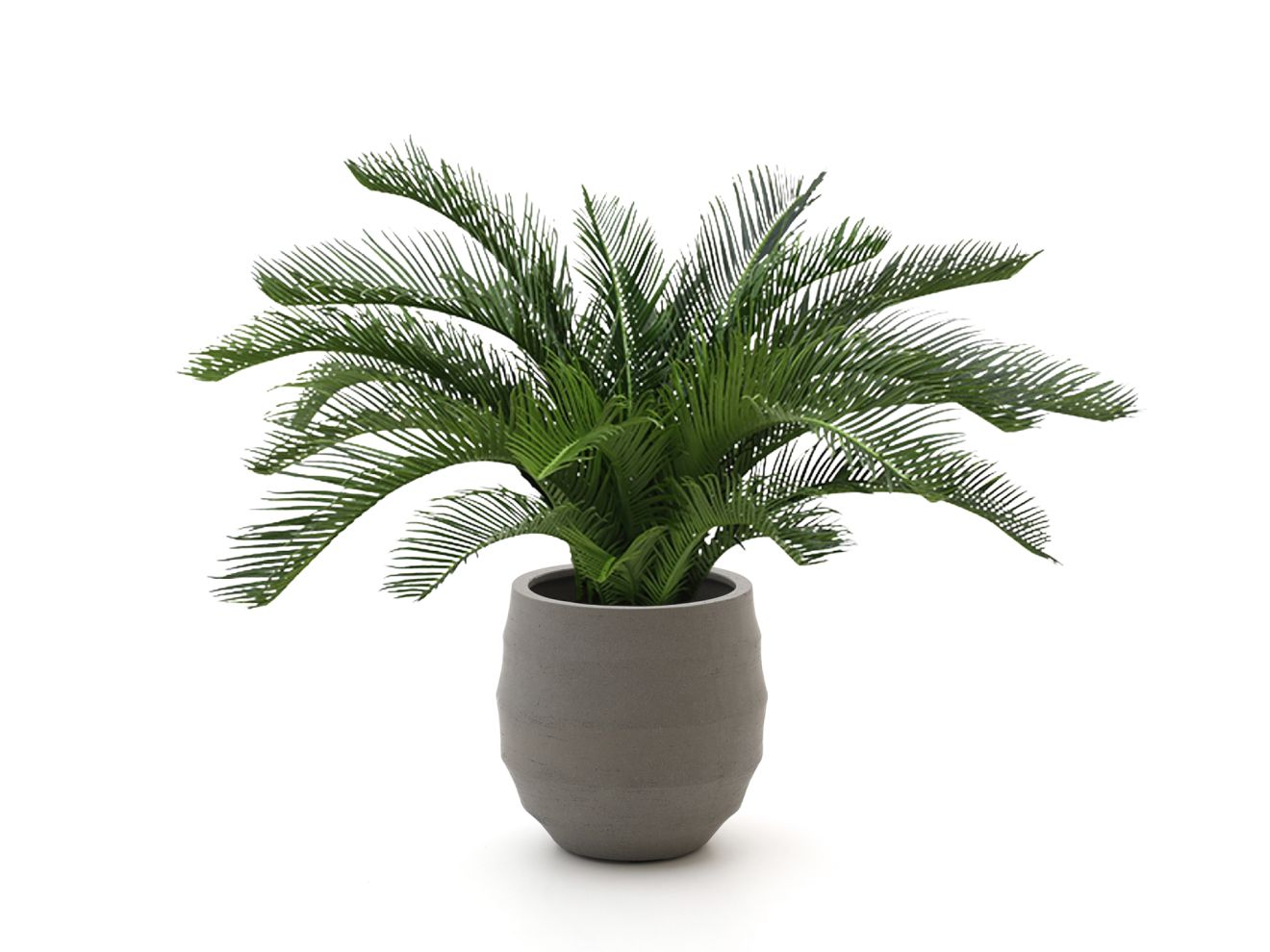 + 15 % Kassenrabatt | Designplants/Luca Lifestyle Cycas Palme Kunstpflanze (h:60 cm) mit Bordo Balloon Blumentopf