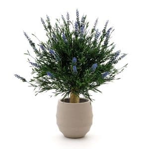 Designplants/Luca Lifestyle Lavendel Kugel Kunstpflanze (h:60 cm) mit Bordo Balloon Blumentopf