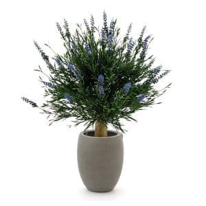 Designplants/Luca Lifestyle Lavendel Kugel Kunstpflanze (h:60 cm) mit Grigio Tall Balloon Blumentopf