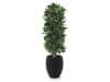 + 10 % Kassenrabatt | Designplants/Luca Lifestyle Lorbeer Säule Kunstpflanze (h:125 cm) mit Grigio Tall Balloon Blumentopf