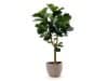 + 10 % Kassenrabatt | Designplants/Luca Lifestyle Lyrata Y Kunstbaum (h:170 cm) mit Ruvido Organic Blumentopf