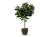 + 10 % Kassenrabatt | Designplants/Luca Lifestyle Lyrata Y Kunstbaum (h:220 cm) mit Ruvido Organic Blumentopf
