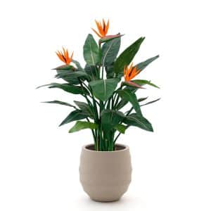 + 10 % Kassenrabatt | Designplants/Luca Lifestyle Strelitzia Kunstpflanze (h:115 cm) mit Bordo Balloon Blumentopf