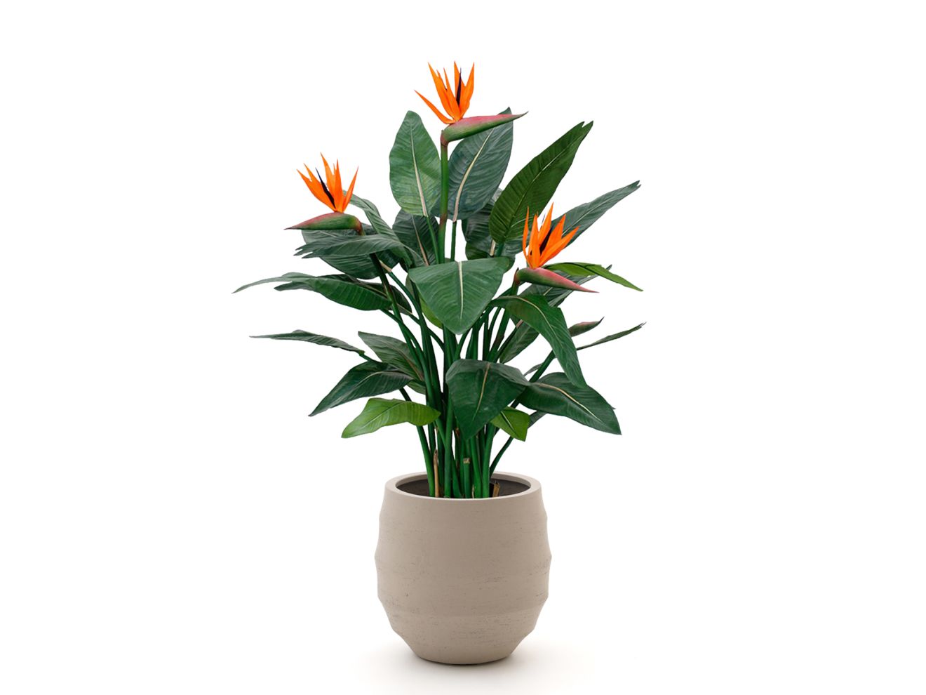 + 15 % Kassenrabatt | Designplants/Luca Lifestyle Strelitzia Kunstpflanze (h:115 cm) mit Bordo Balloon Blumentopf