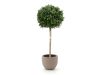 + 10 % Kassenrabatt | Designplants/Luca Lifestyle Buchsbaum Kugel Kunstbaum (h:110 cm) mit Terreno New Egg Blumentopf