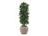 + 10 % Kassenrabatt | Designplants/Luca Lifestyle Lorbeer Säule Kunstpflanze (h:125 cm) mit Ruvido Combi Blumentopf