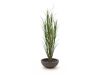 + 15 % Kassenrabatt | Designplants/Luca Lifestyle Riedgras Kunstpflanze (h:165 cm) mit Terreno Bowl Blumentopf