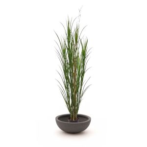 + 15 % Kassenrabatt | Designplants/Luca Lifestyle Riedgras Kunstpflanze (h:165 cm) mit Terreno Bowl Blumentopf