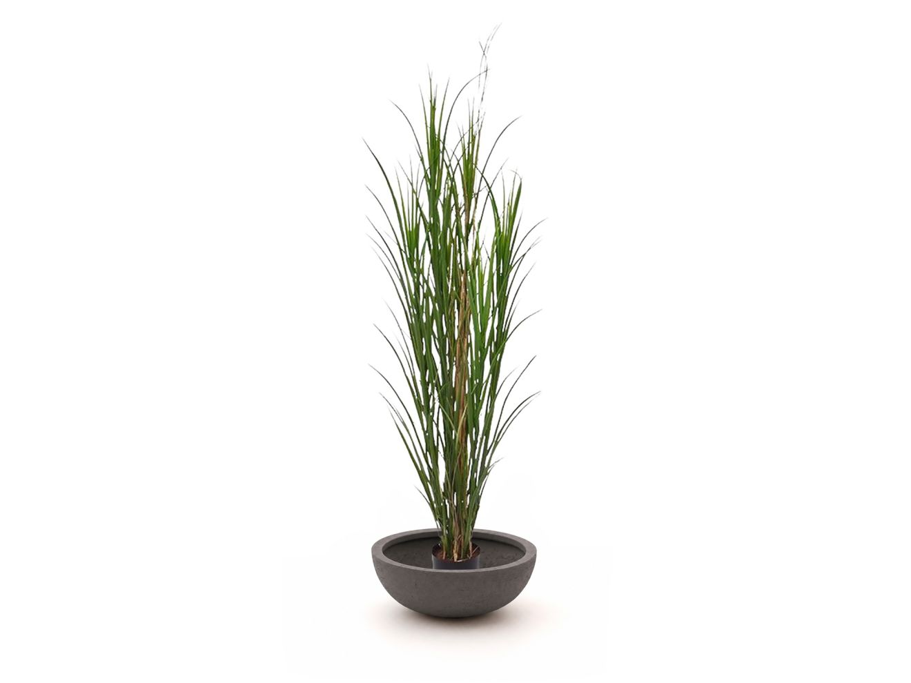 + 15 % Kassenrabatt | Designplants/Luca Lifestyle Riedgras Kunstpflanze (h:165 cm) mit Terreno Bowl Blumentopf