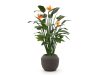 + 10 % Kassenrabatt | Designplants/Luca Lifestyle Strelitzia Kunstpflanze (h:145 cm) mit Ruvido Combi Blumentopf