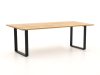 Apple Bee Condor Gartentisch 240x95x75 cm