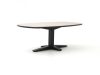 Apple Bee Zanzibar dänisch oval Gartentisch 220x110x77 cm