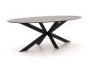 Bellagio Furato ellips Gartentisch 240x120cm