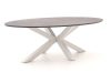 Bellagio Induno Ellips Gartentisch 280x130 cm