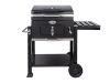 Boretti Carbone Holzkohlegrill 114x67x109 cm