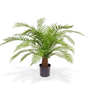 Designplants Alsophillia Farn Kunstpflanze (h: 80 cm)