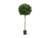 Designplants Buchsbaum Kugel Kunstbaum (h: 110 cm)