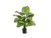 Designplants Calathea Fasciata Kunstpflanze (h: 70 cm)