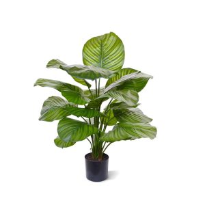 Designplants Calathea Fasciata Kunstpflanze (h: 70 cm)