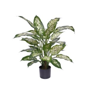 Designplants Dieffenbachia Kunstpflanze (h: 60 cm)