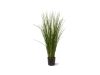 Designplants Gras Kunstpflanze (h: 80 cm)