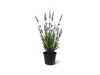 Designplants Lavendel Kunstpflanze (h: 50 cm)