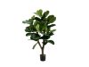 Designplants Lyrata Y Kunstbaum (h: 130 cm)