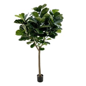 Designplants Lyrata Y Kunstbaum (h: 220 cm)
