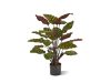 Designplants Red Calathea Makoyana Kunstpflanze (h: 60 cm)