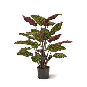 Designplants Red Calathea Makoyana Kunstpflanze (h: 60 cm)
