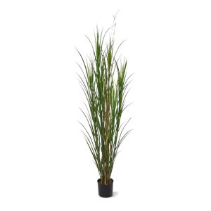 Designplants Schilfgras Kunstpflanze (h: 165 cm)
