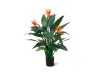 Designplants Strelitzia Kunstpflanze (h: 115 cm)