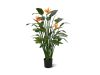 Designplants Strelitzia Kunstpflanze (h: 145 cm)